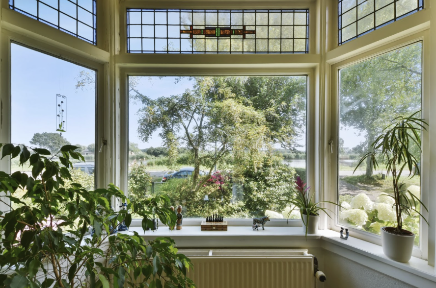 bay window used as a mini greenhouse