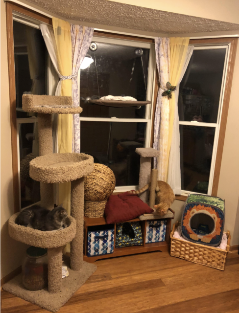 cat area with scratching posts and bed in front of curtained bay windows